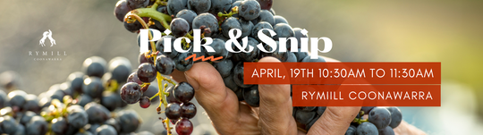 Explore the Vineyard: Join Rymill Pick & Snip Tour